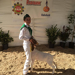 HJ Showstock Winners