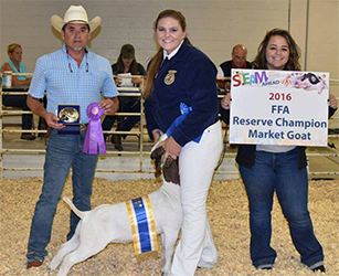 HJ Showstock Winners