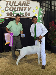 HJ Showstock Winners