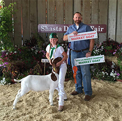 HJ Showstock Winners