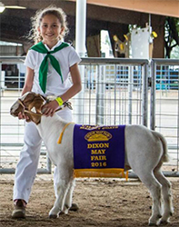 HJ Showstock Winners