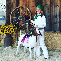 HJ Showstock Winners