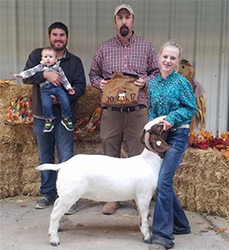 HJ Showstock Winners