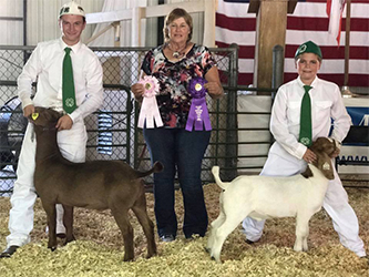 HJ Showstock Winners