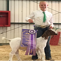 HJ Showstock Winners