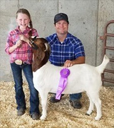 HJ Showstock Winners