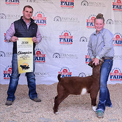 HJ Showstock Winners