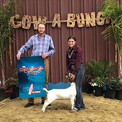 HJ Showstock Winners