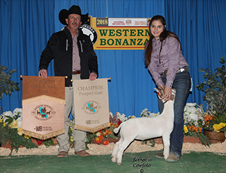 HJ Showstock Winners