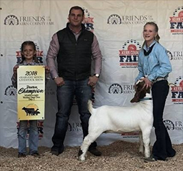 HJ Showstock Winners
