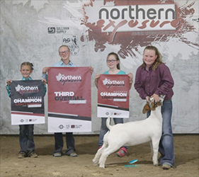 HJ Showstock Winners