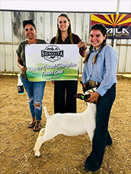 HJ Showstock Winners