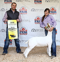 HJ Showstock Winners