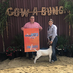 HJ Showstock Winners