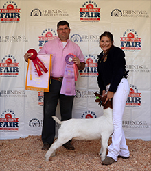 HJ Showstock Winners