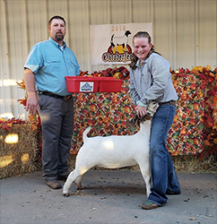 HJ Showstock Winners