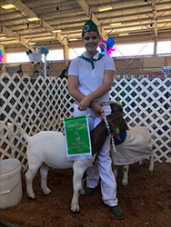 HJ Showstock Winners