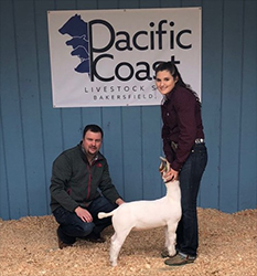 HJ Showstock Winners