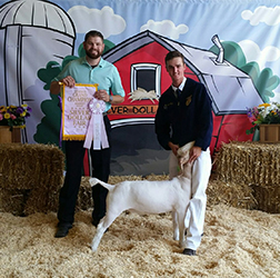 HJ Showstock Winners
