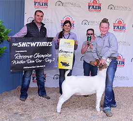 HJ Showstock Winners