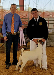 HJ Showstock Winners
