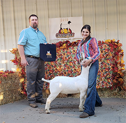 HJ Showstock Winners