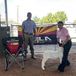 HJ Showstock Winners