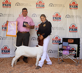 HJ Showstock Winners