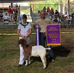 HJ Showstock Winners