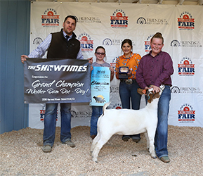 HJ Showstock Winners