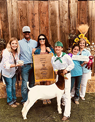 HJ Showstock Winners