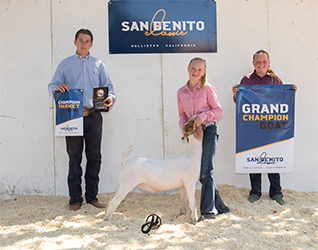 HJ Showstock Winners