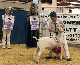 HJ Showstock Winners