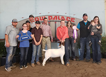 HJ Showstock Winners