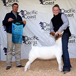 HJ Showstock Winners