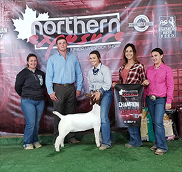 HJ Showstock Winners
