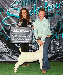 HJ Showstock Winners