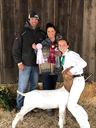 HJ Showstock Winners