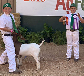 HJ Showstock Winners