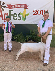 HJ Showstock Winners