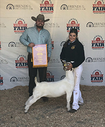HJ Showstock Winners