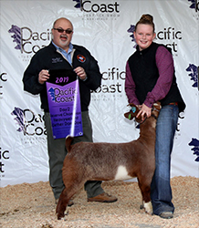 HJ Showstock Winners