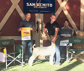 HJ Showstock Winners