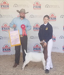 HJ Showstock Winners