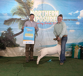 HJ Showstock Winners