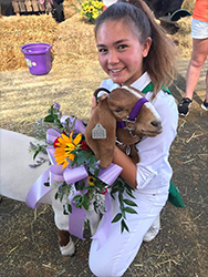HJ Showstock Winners