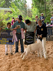 HJ Showstock Winners