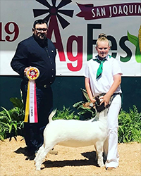 HJ Showstock Winners