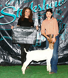 HJ Showstock Winners