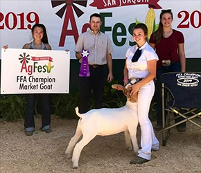 HJ Showstock Winners